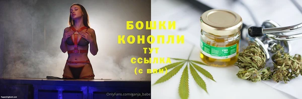 крисы Белоозёрский
