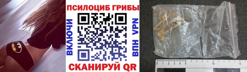 Купить  Заозёрный  Псилоцибиновые грибы Psilocybe 